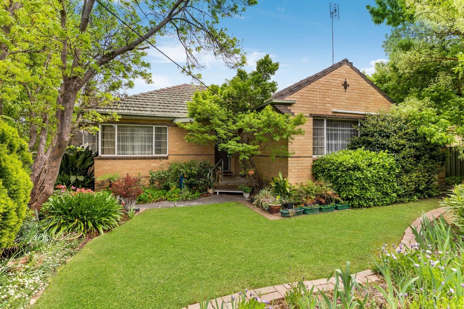 19 Nish Street, Flora Hill VIC 3550, Image 0