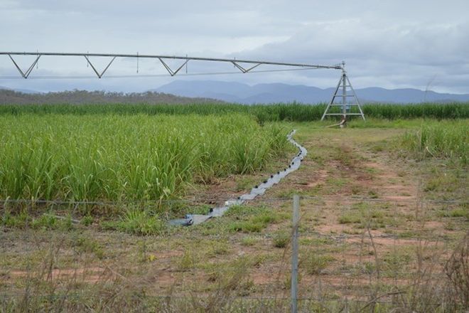 Picture of MUTCHILBA QLD 4872