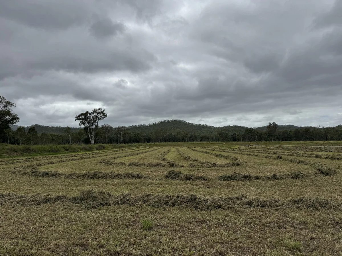 Additional image 17 of 1609 Monal Road, Monto QLD 4630