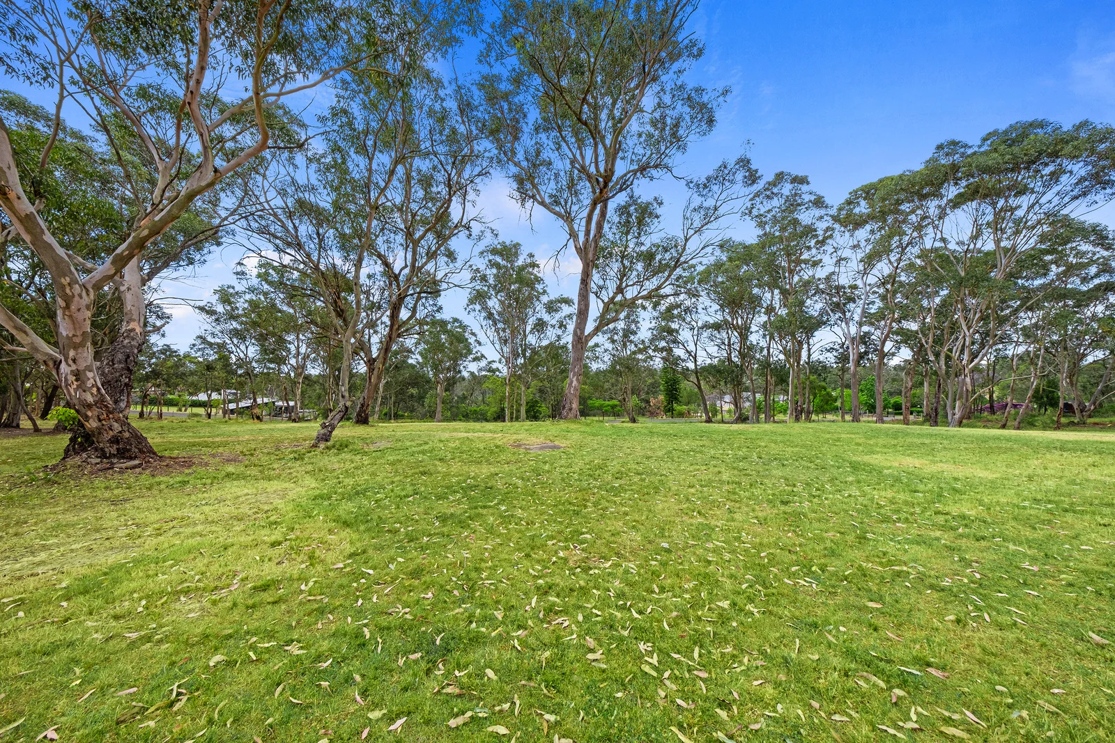 Additional image 11 of 339 Maguires Road, Maraylya NSW 2765