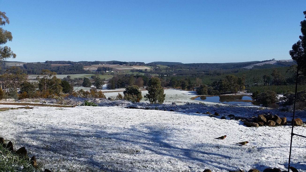 1420 Batlow Road, Tumbarumba NSW 2653 House for Sale 620,000