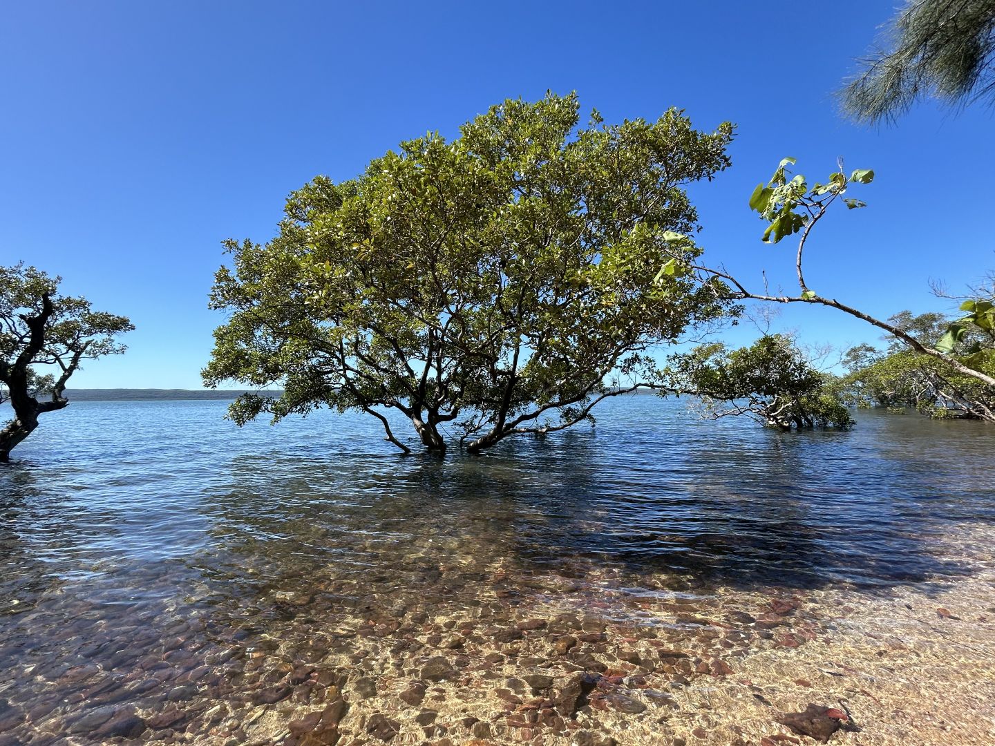 129 Beelong Street, Macleay Island QLD 4184, Image 2