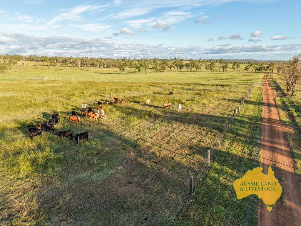 Additional image 22 of 854 MUNDUBBERA-DURONG ROAD, Boynewood QLD 4626
