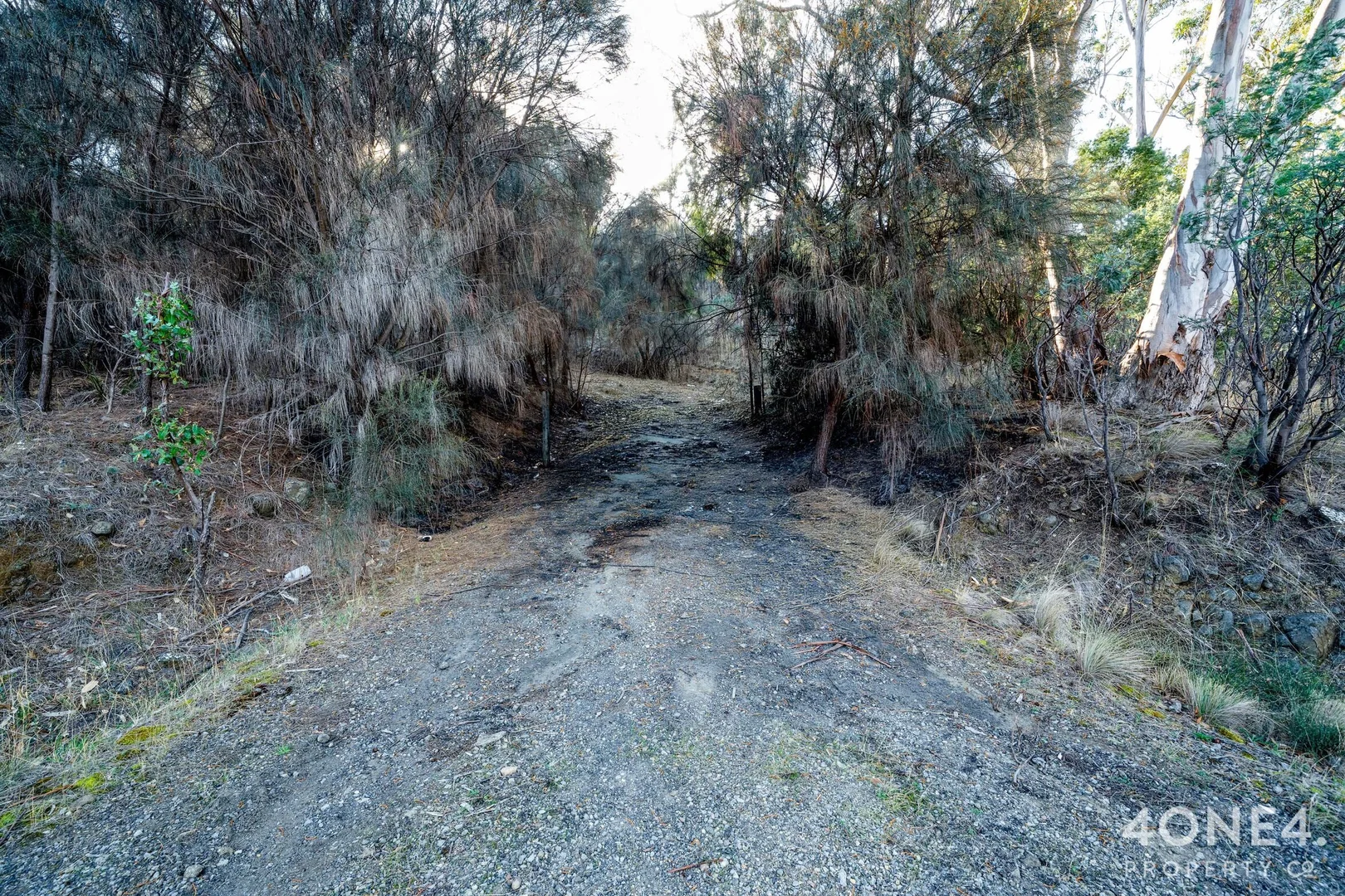 Image 19