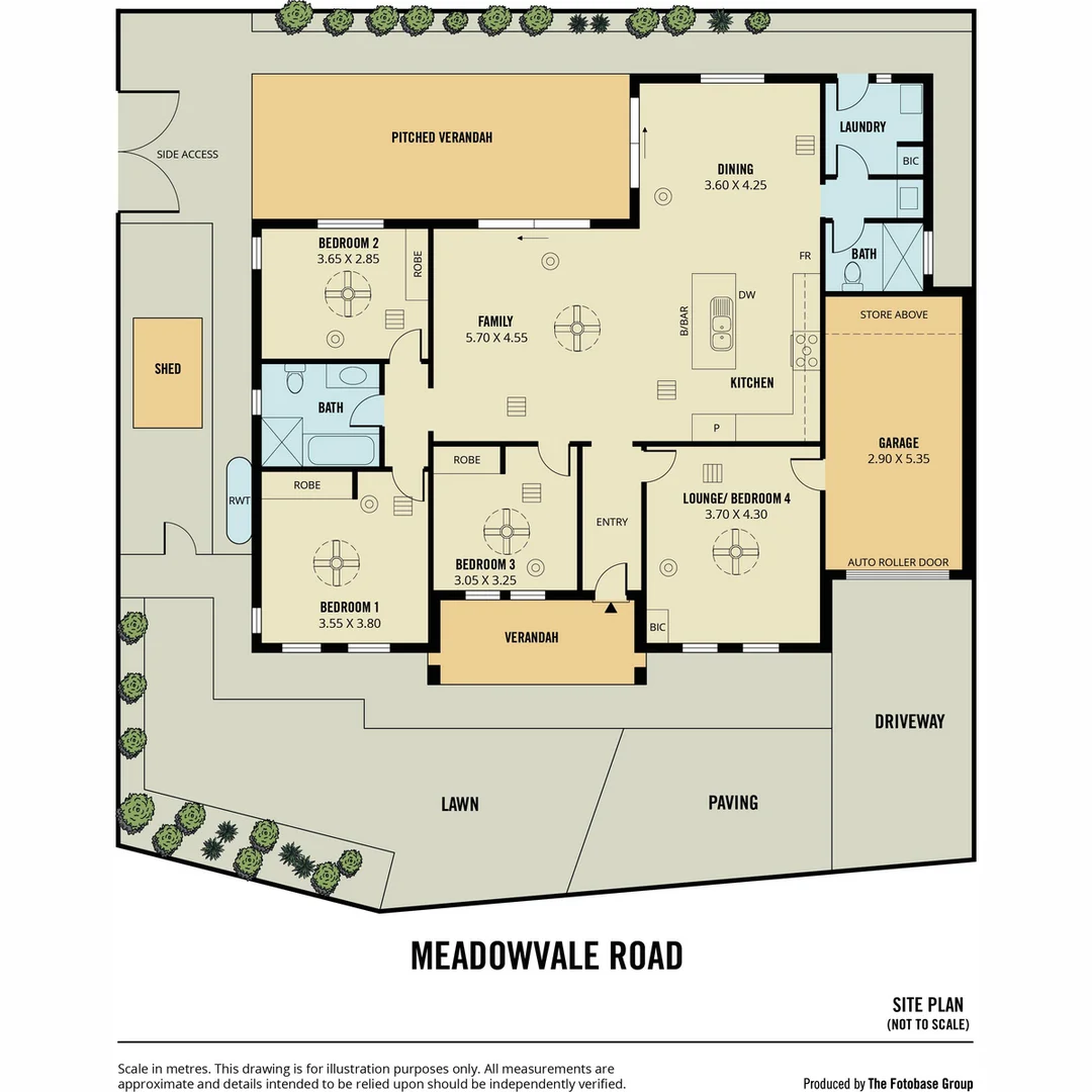 Image 19