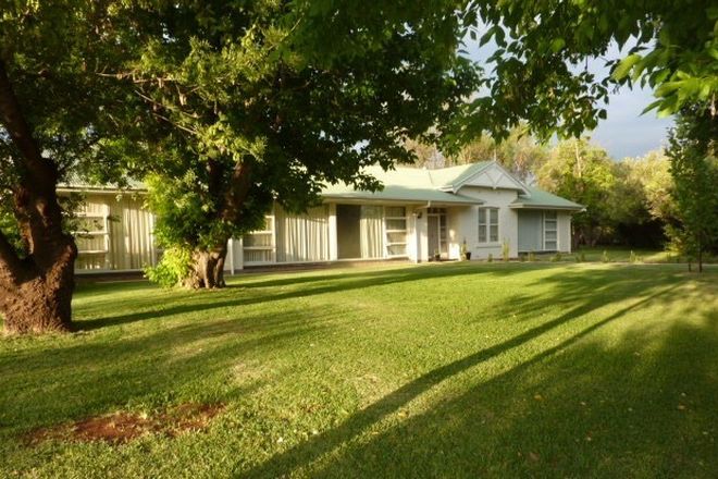 Picture of 668 Tarcoola St, RENMARK WEST SA 5341