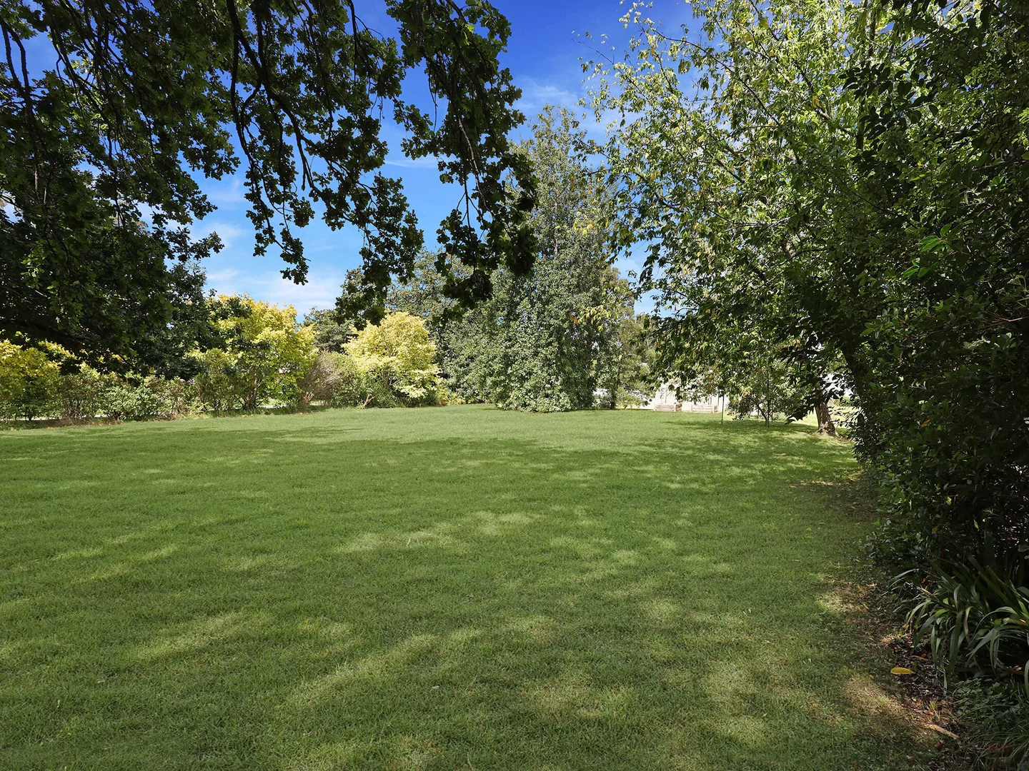 Image 20