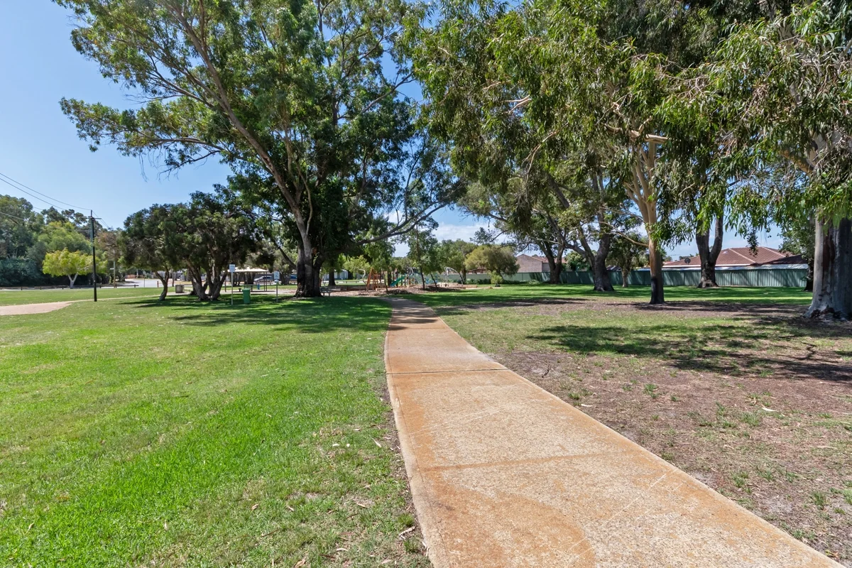 Image 30