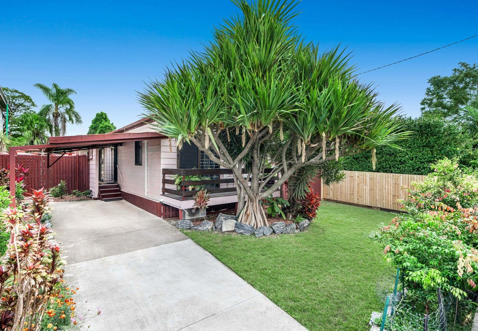 19 Shelley Street, Cannon Hill QLD 4170