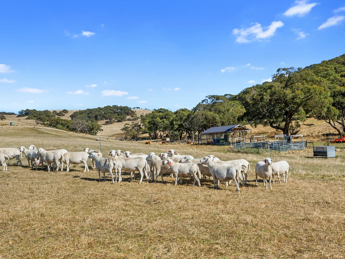 Additional image 30 of 1519 Hindmarsh Tiers Road, Hindmarsh Tiers SA 5202