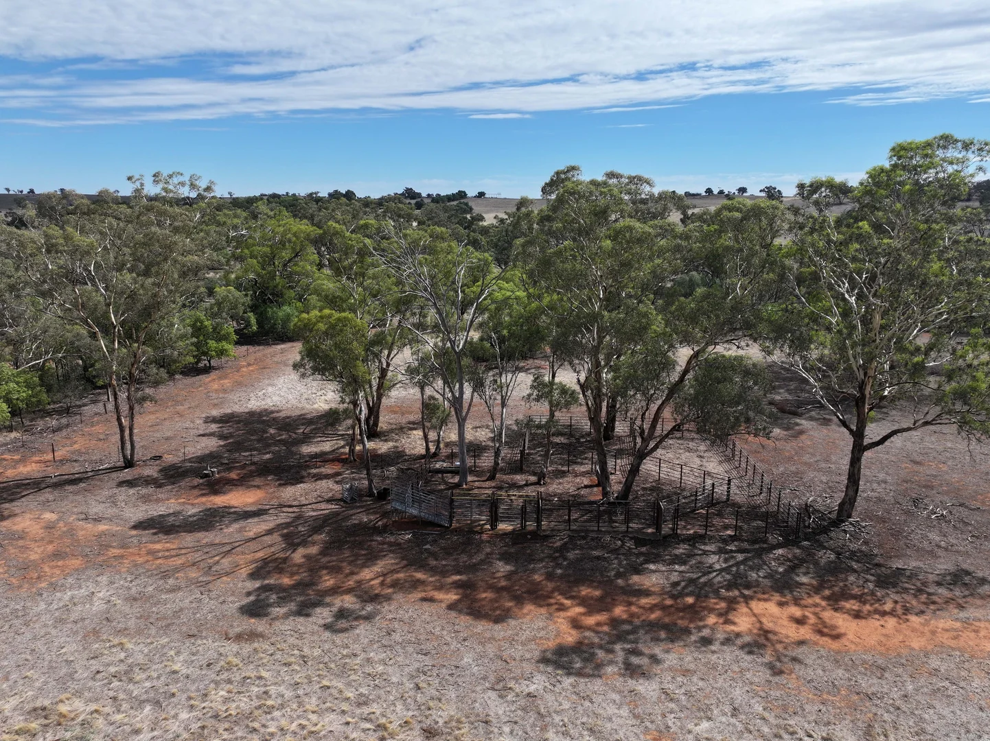 Additional image 8 of 1274 Canola Way, Marrar NSW 2652