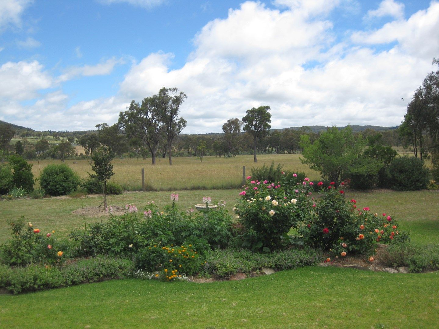 541 Dalcouth Rd, Stanthorpe QLD 4380, Image 0