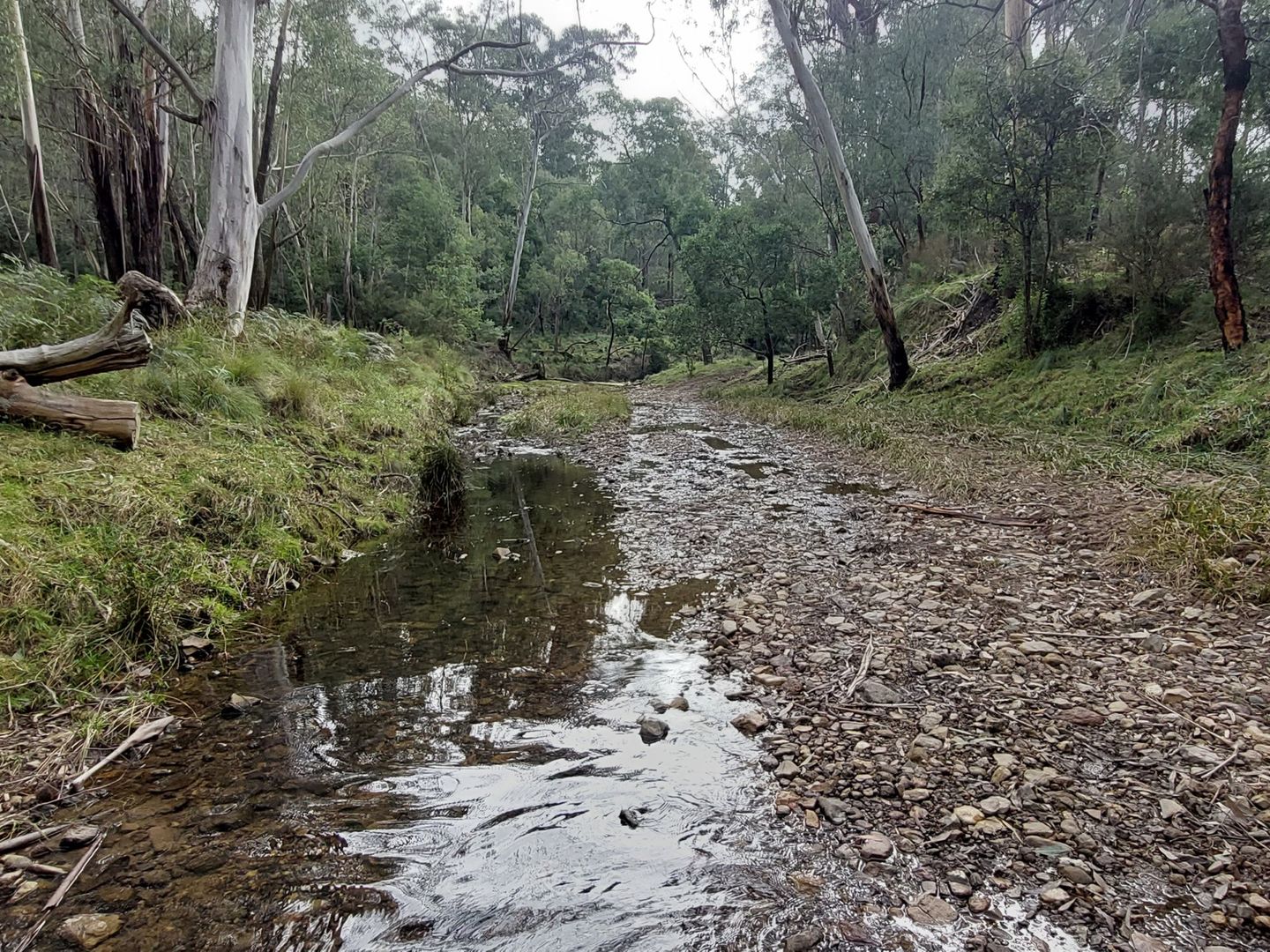 120 Roberts Road, Buchan South VIC 3885, Image 2