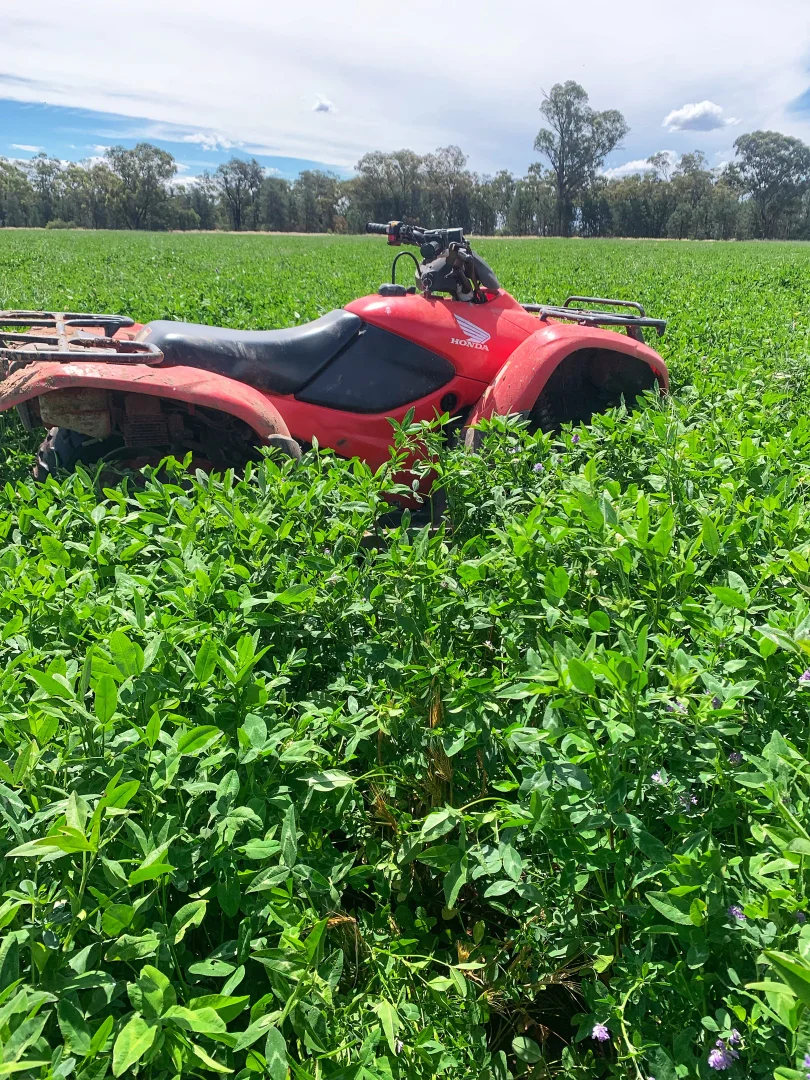 Additional image 19 of Rosewood Aggregation 7033 The Gipps Way, Condobolin NSW 2877