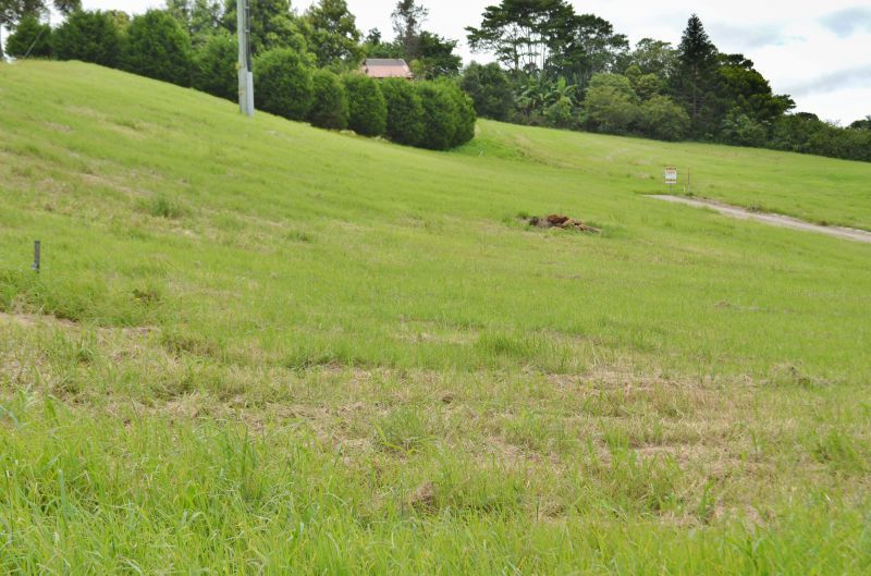 Lot 11 Greenfields Court, Maleny QLD 4552, Image 2