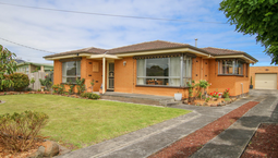 Picture of 43 Keith Street, WARRNAMBOOL VIC 3280