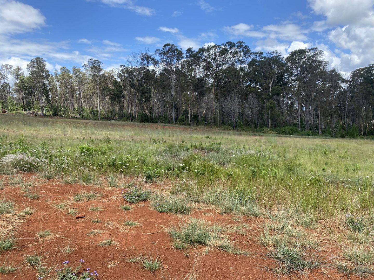 Lot 197 Premier Drive, Kingaroy QLD 4610, Image 1