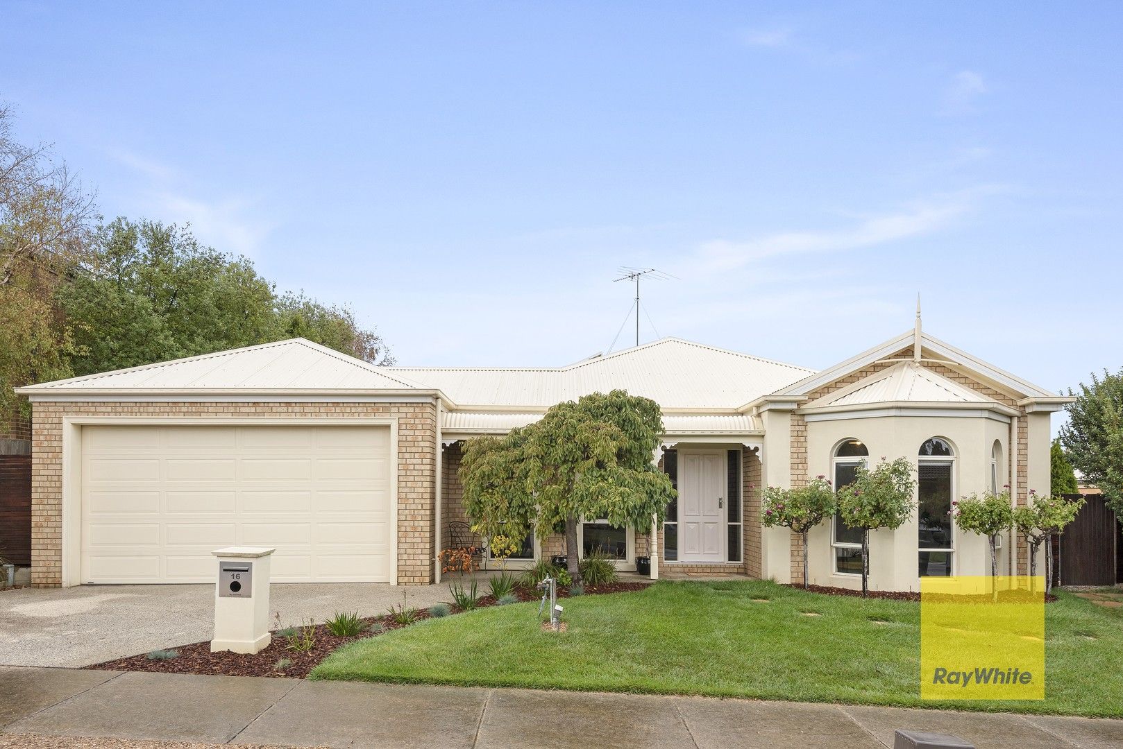 16 Daly Boulevard, Highton VIC 3216, Image 0