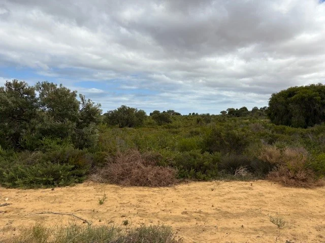 Additional image 3 of 137 Paperbark Avenue, Gabbadah WA 6041