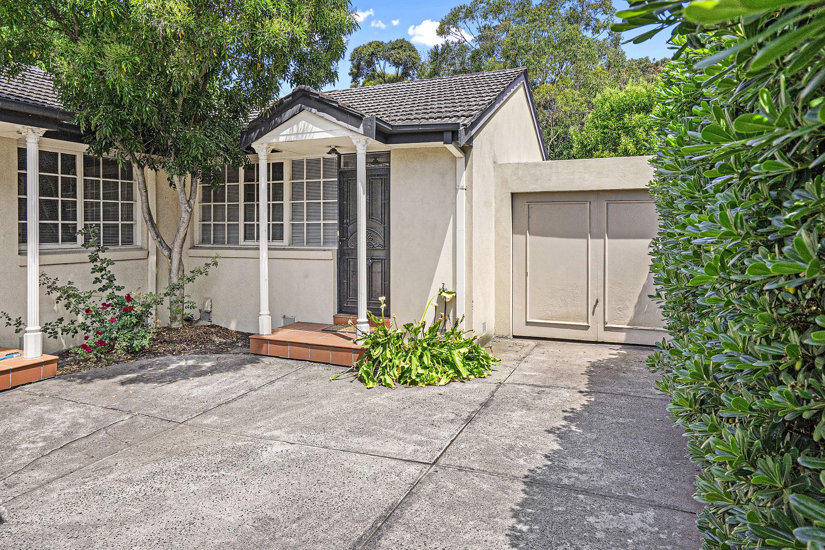 2 bedrooms Apartment / Unit / Flat in 5/4 Albion Road BOX HILL VIC, 3128