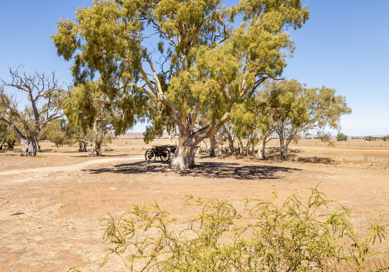 Image 45