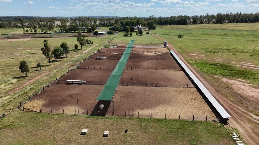 1168 ACRES WITH FEEDLOT, Jandowae QLD 4410 House for Sale 2,750,000