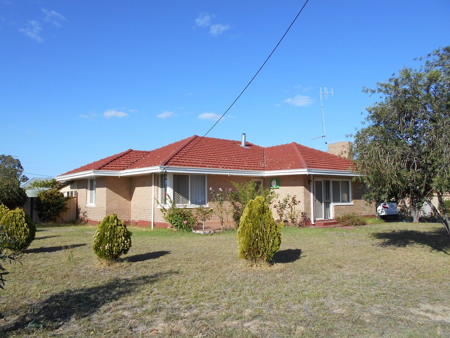 12 Todd Street, Katanning WA 6317, Image 0