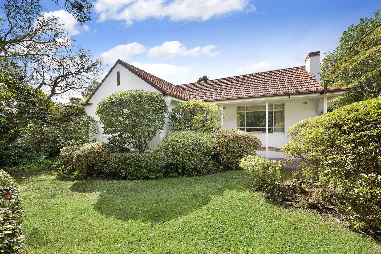 43 Wellington Road, East Lindfield NSW 2070, Image 0