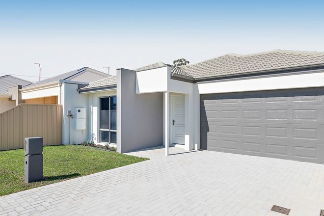 Picture of 37 Ashcroft Loop, WATTLE GROVE WA 6107