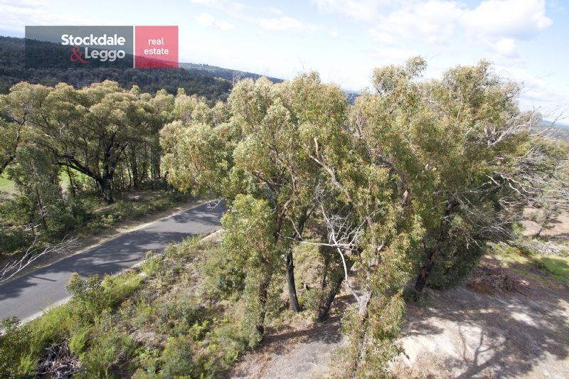 175 Old Callignee Road, CALLIGNEE VIC 3844, Image 1