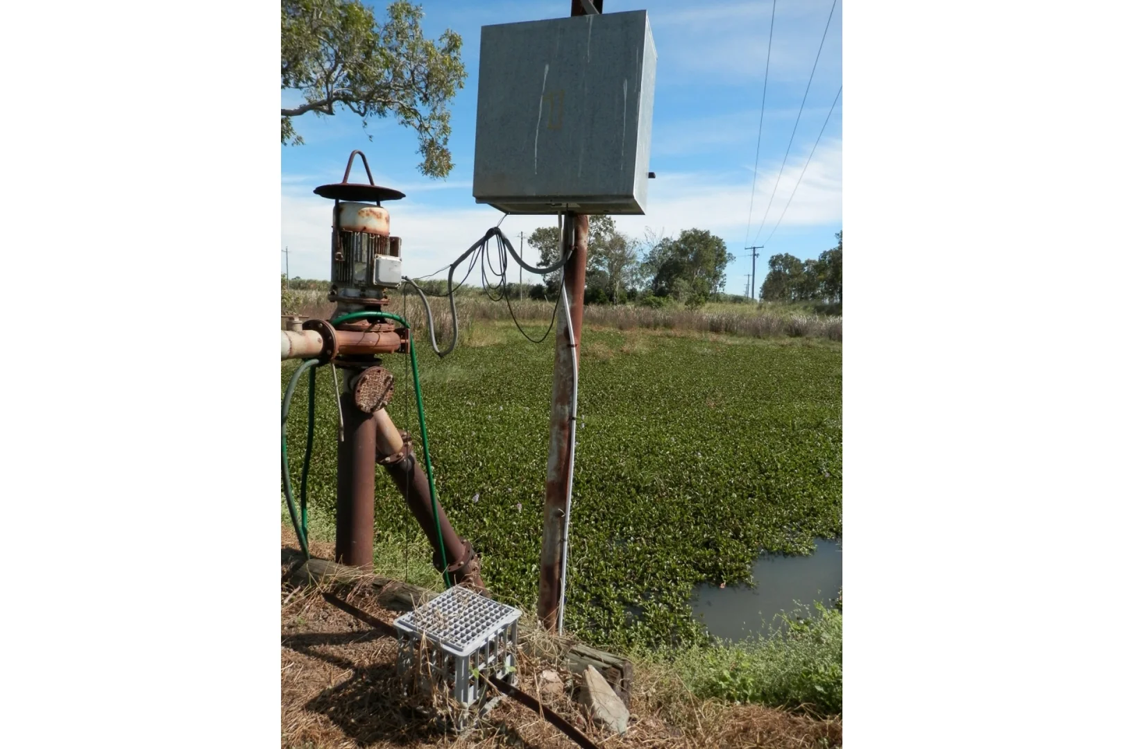 Image 11