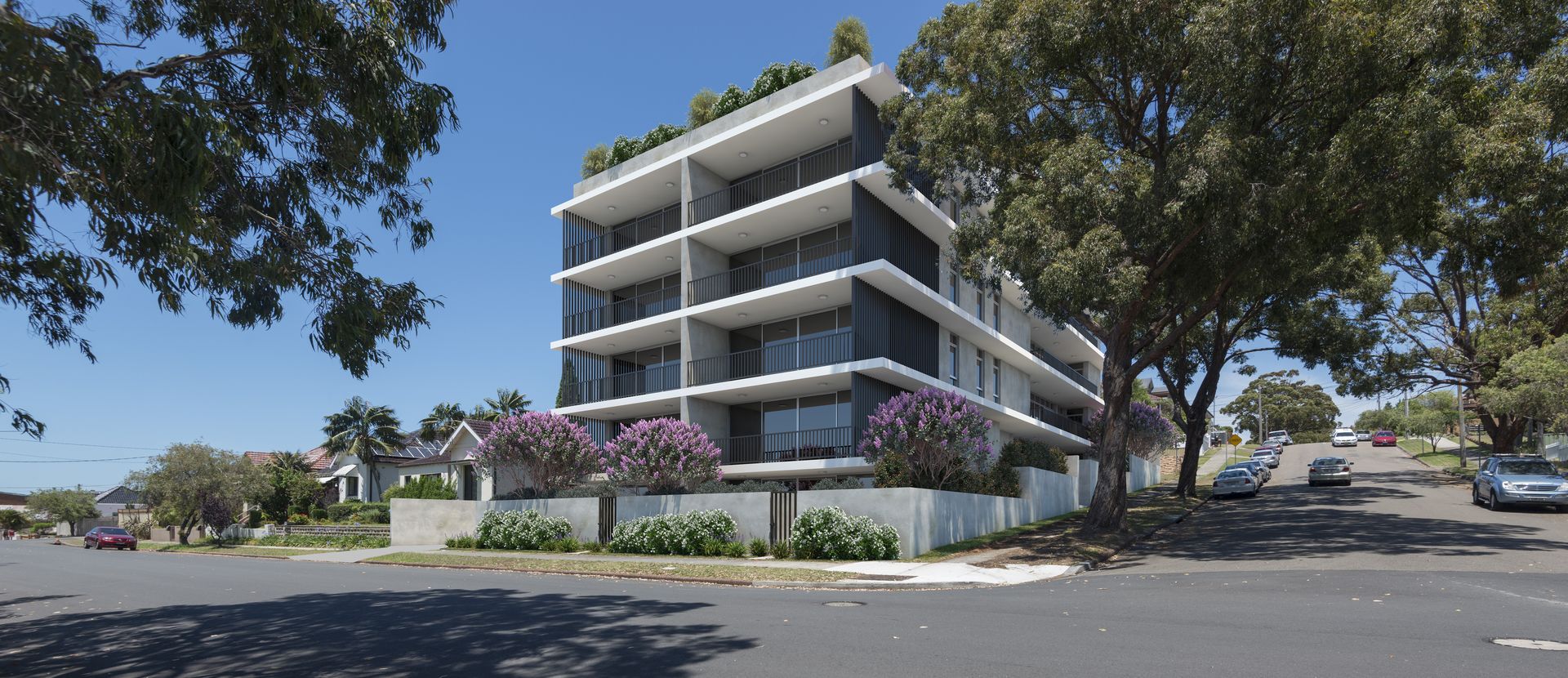 2729 Andover Street, Carlton NSW 2218 Domain