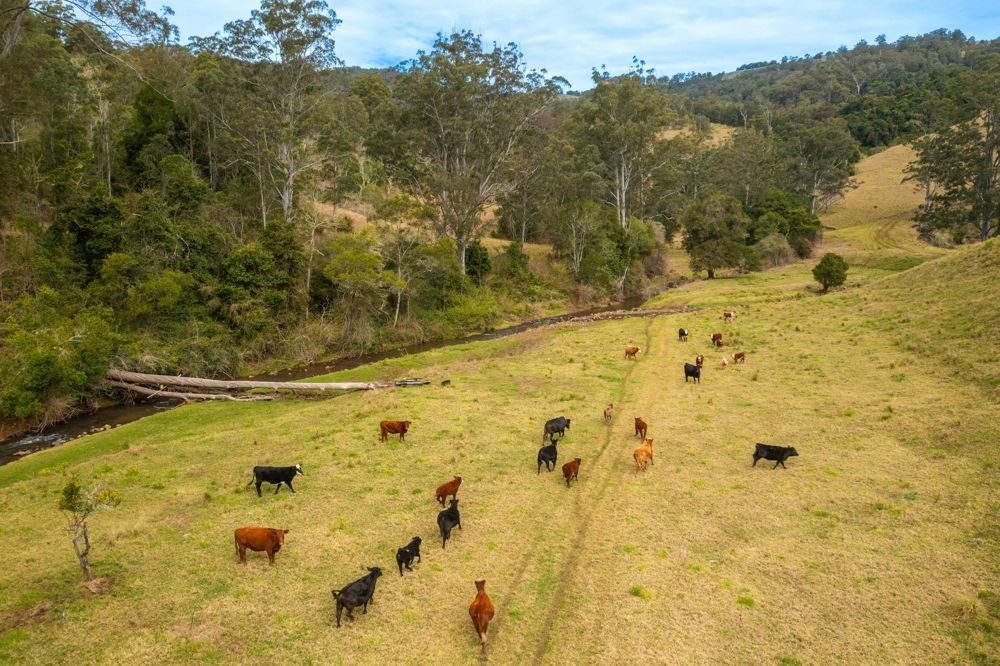 2523 Toms Creek Rd, Toms Creek NSW 2446 House for Sale Domain