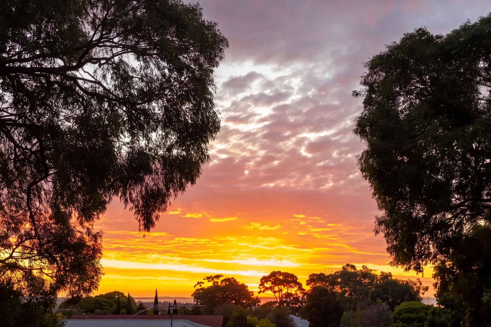 Additional image 16 of 102 Cinerama Crescent, McCrae VIC 3938