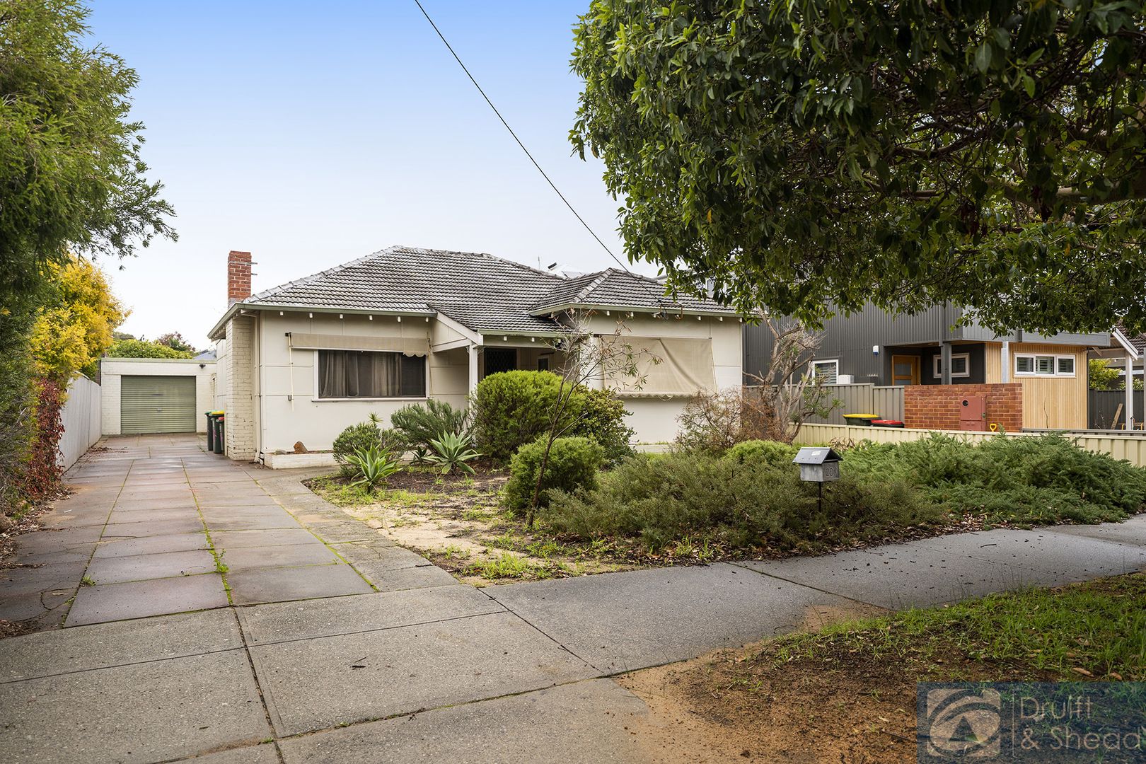 207 Hancock Street, Doubleview WA 6018, Image 2