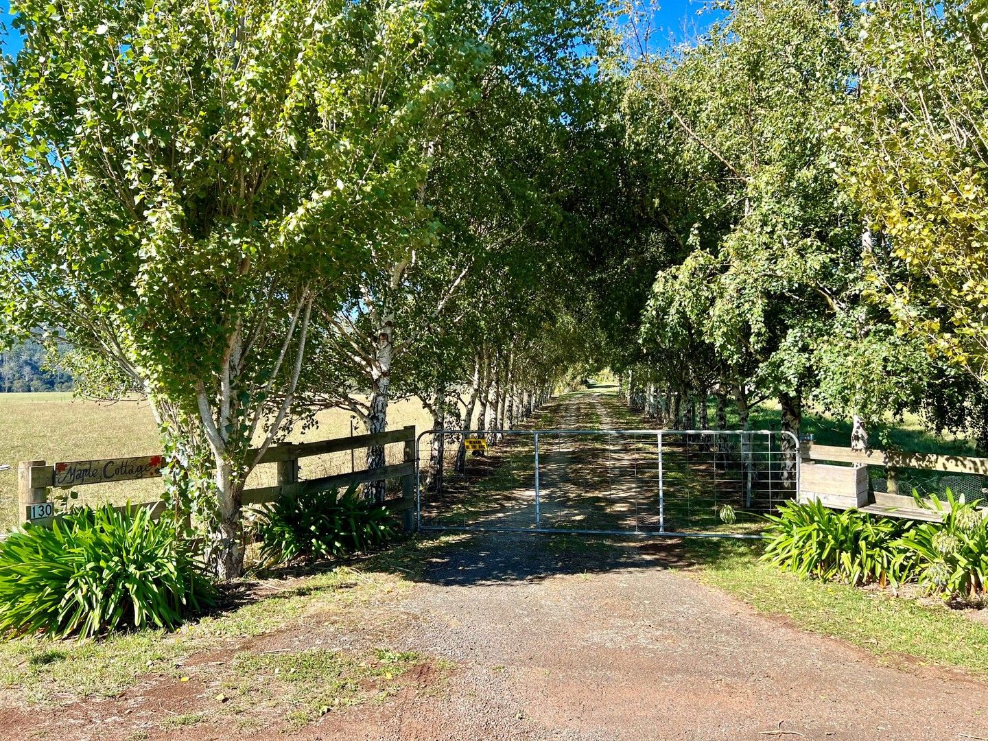 130 Ruby Flats Road, Ringarooma TAS 7263, Image 0