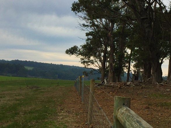 Picture of Lot 105 Bessell Road, ROSA BROOK WA 6285