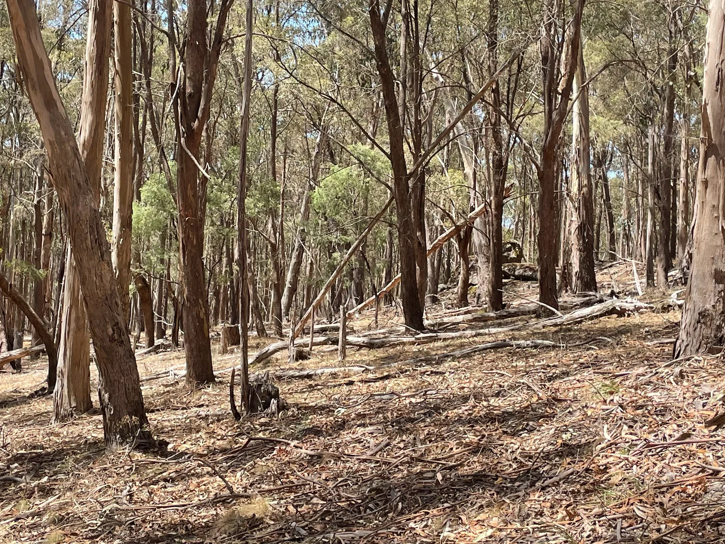 Image 9
