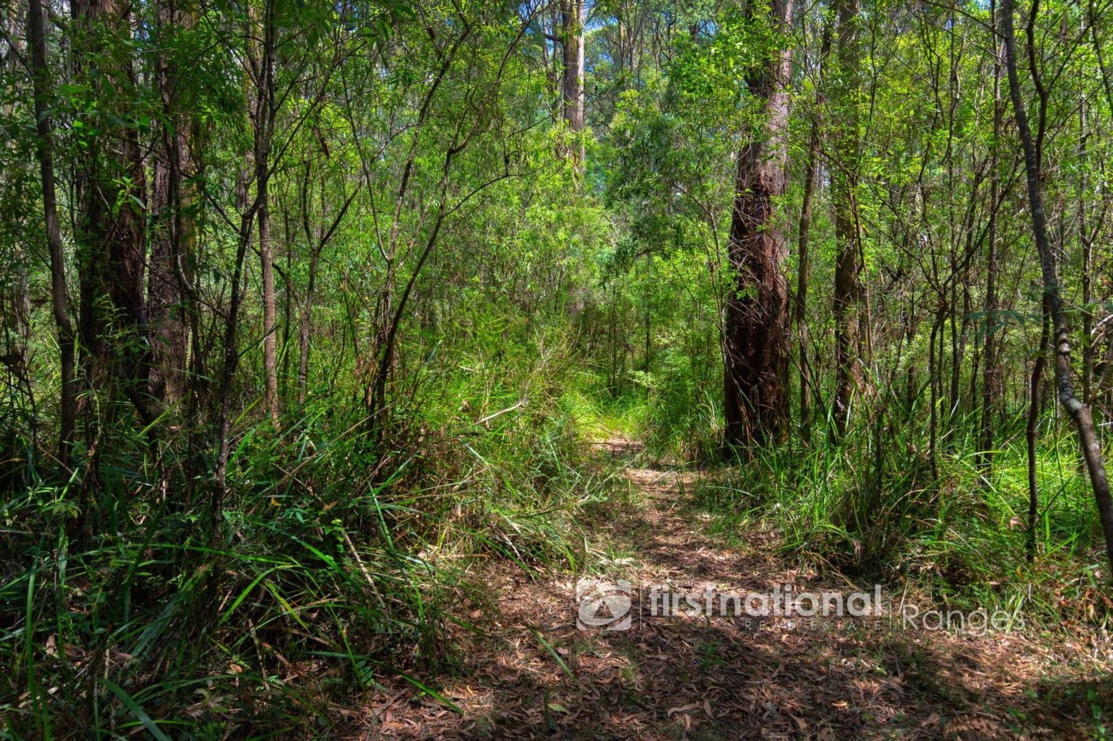 2780 Gembrook-Launching Place Road, Gembrook VIC 3783, Image 2