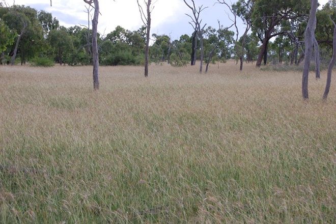 Picture of Jakey's - Belyando Road, SEVENTY MILE QLD 4820