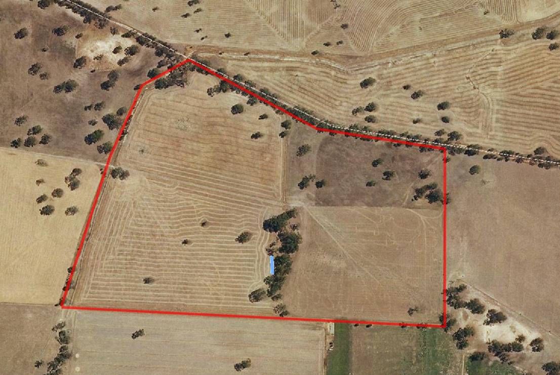 Lot 101 Finlayson Road, BORDERTOWN SA 5268, Image 2