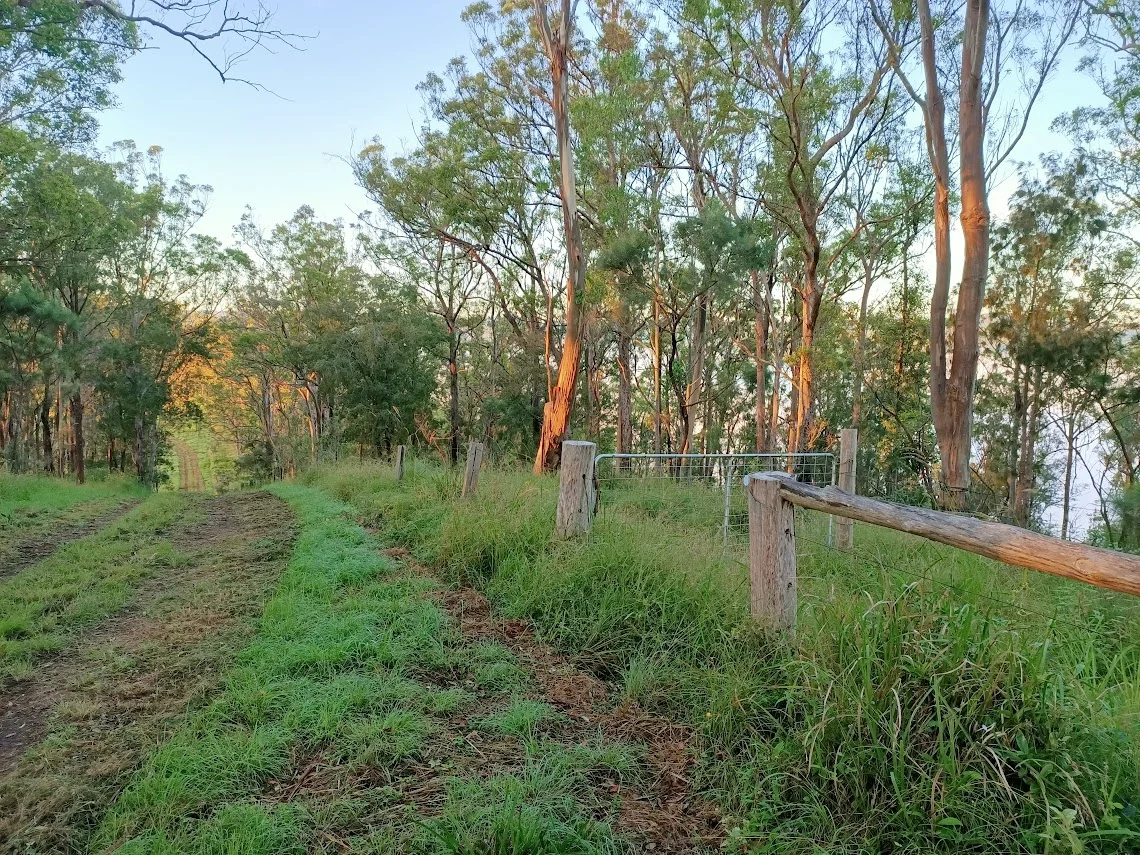 Image 17