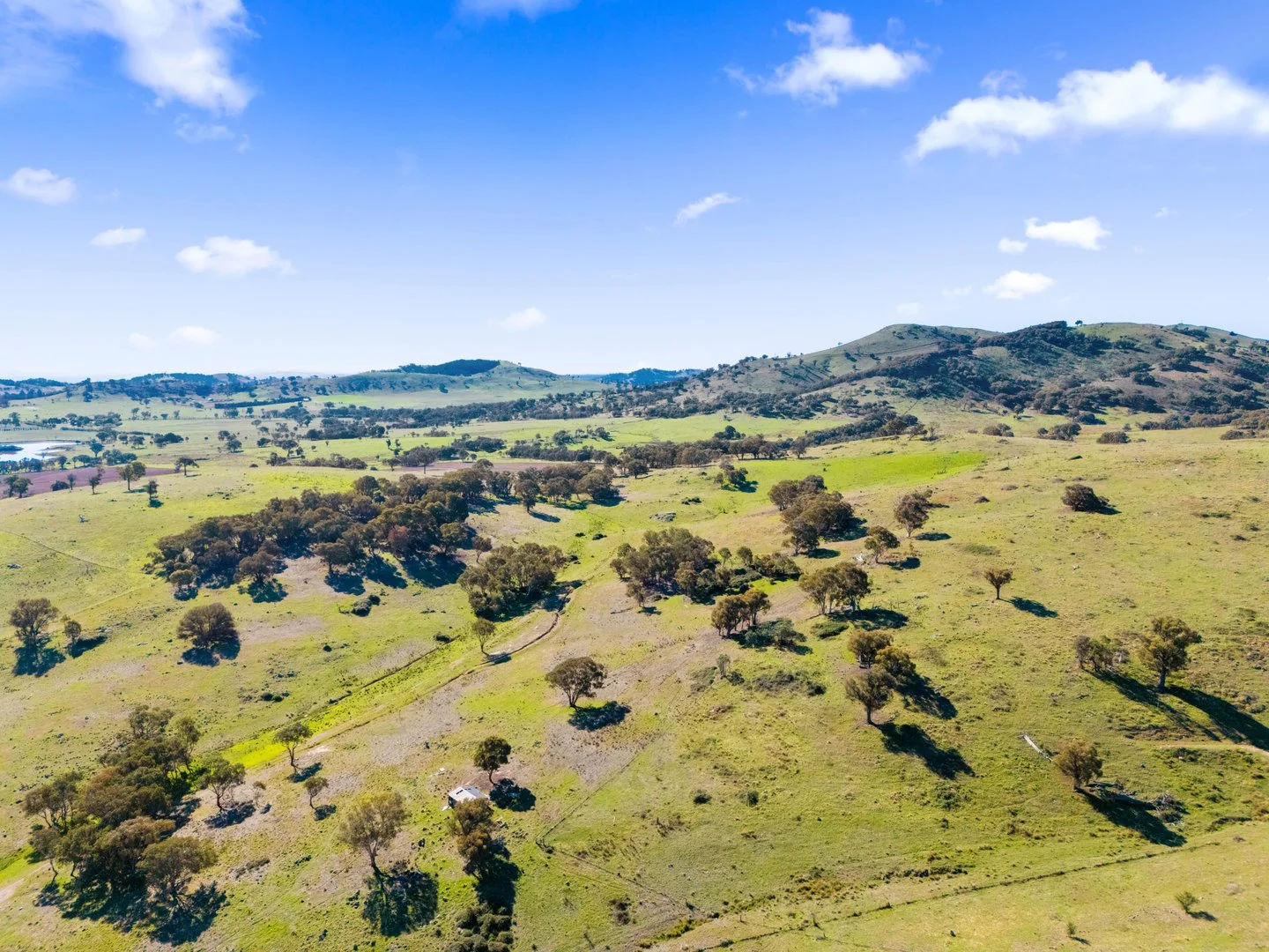 Additional image 29 of 267 Spring Range Road, Springrange NSW 2618