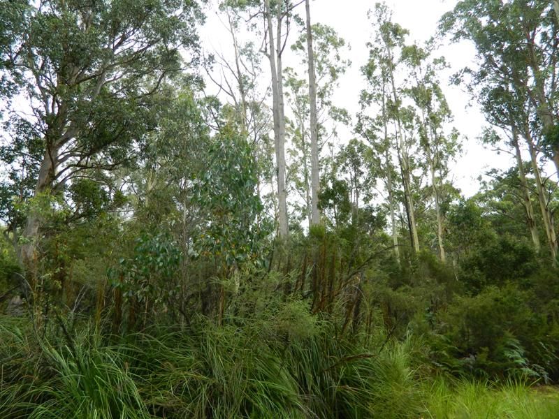 0 Gordon River Road, Tyenna TAS 7140, Image 0