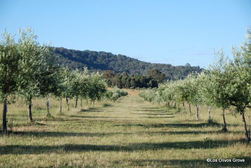 KAINS FLAT NSW 2850, Image 2