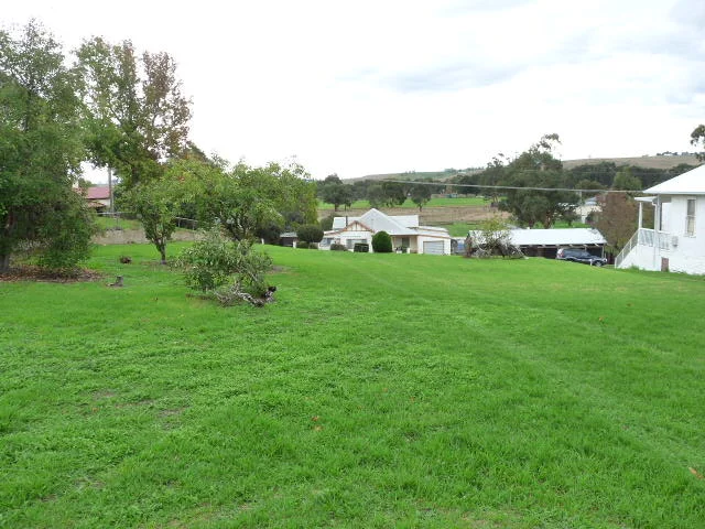 Image 13