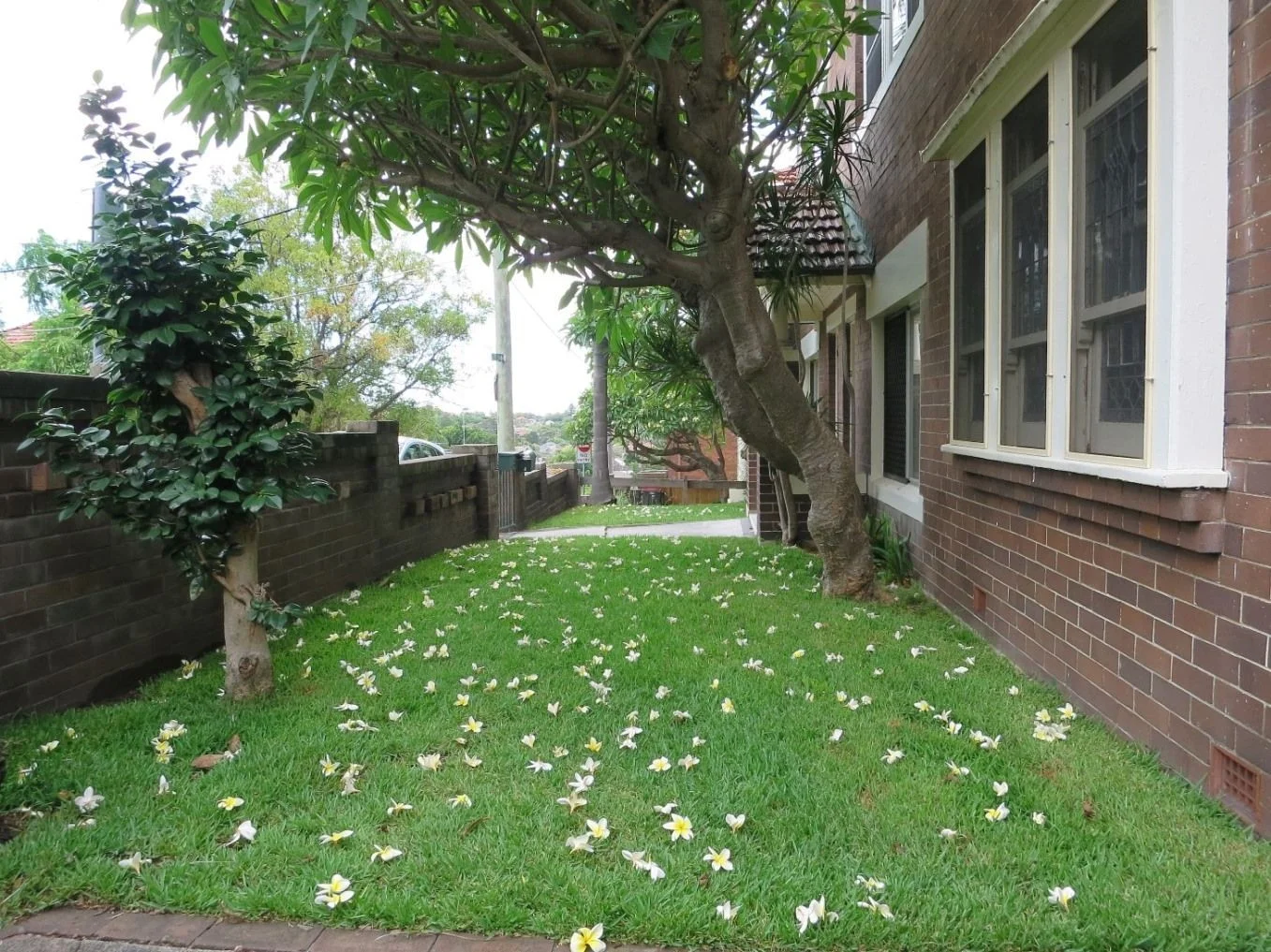 Additional image 9 of 7 Albert St, Randwick NSW 2031