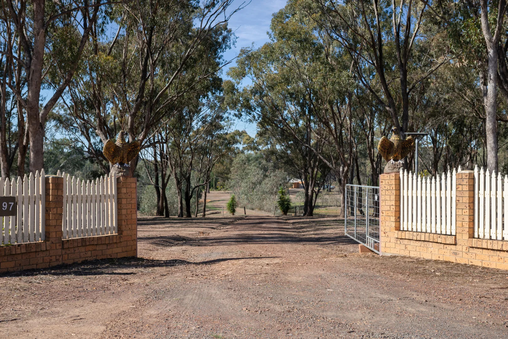 Image 21