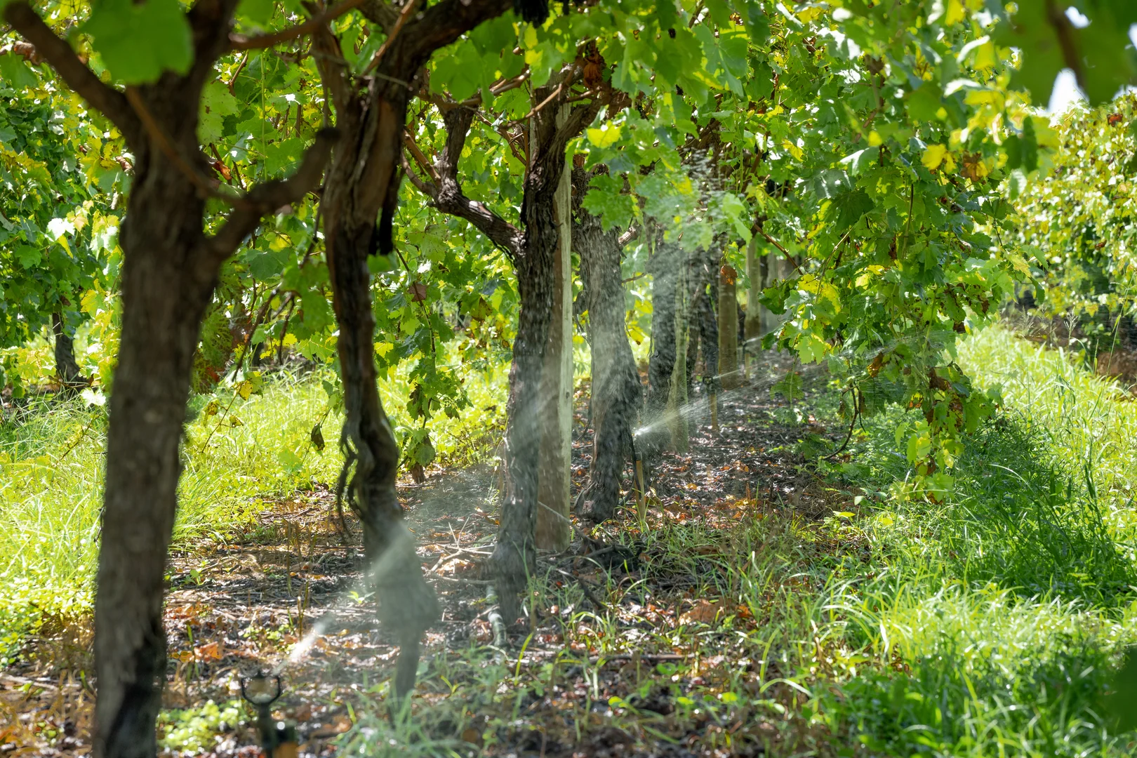 Additional image 18 of Lot 85 Glenrae Dip Road, Boynewood QLD 4626