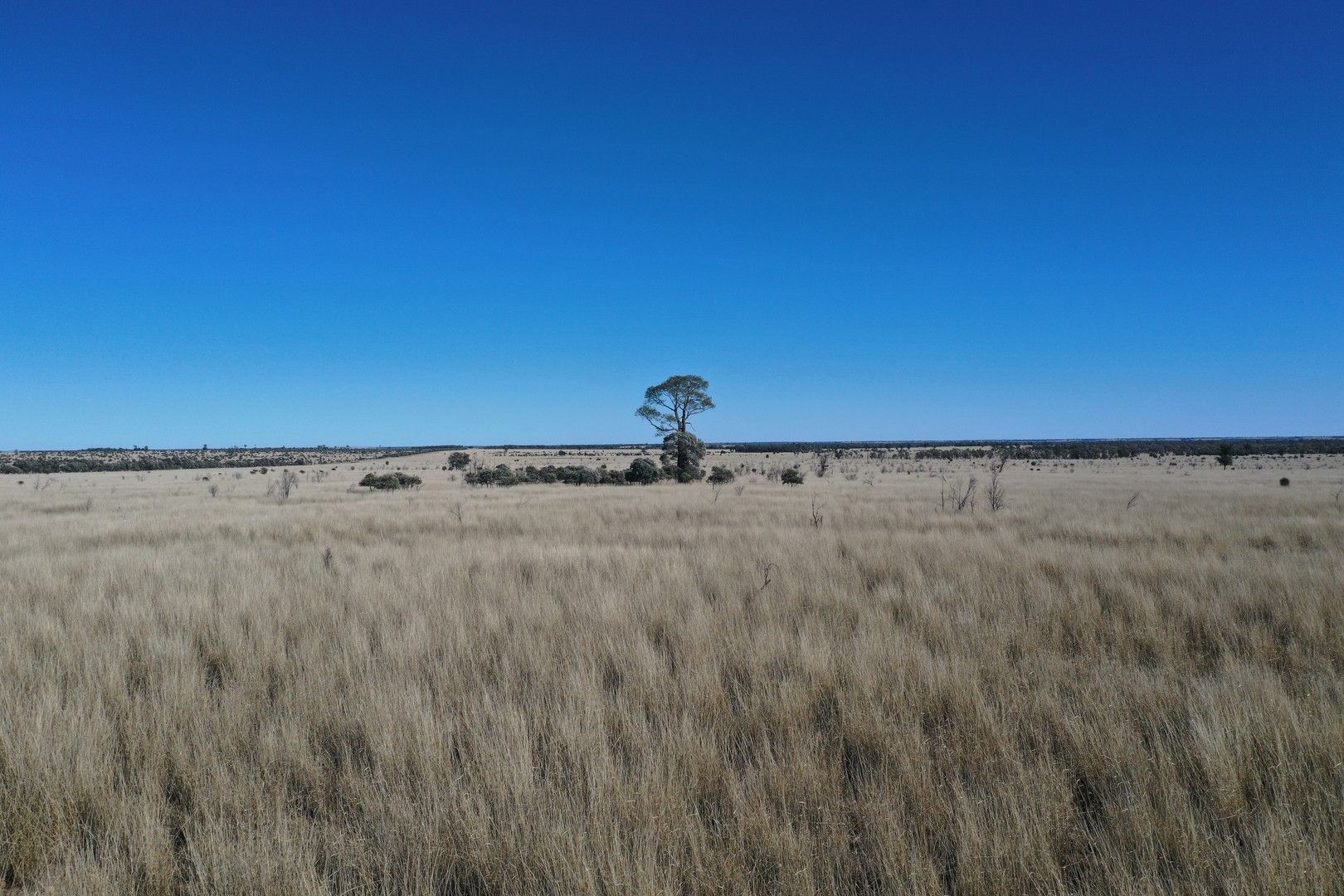 0 Mount Tabor Road, Augathella QLD 4477, Image 0